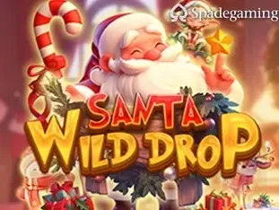 Santa Wild Drop game thumbnail